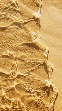 Golden beach wallpaper background sand outdoors dinosaur.