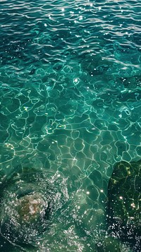 Wallpaper of sea water recreation underwater.