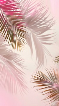 Beach wallpaper background arecaceae graphics outdoors.