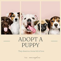 Adopt Puppy Instagram post template