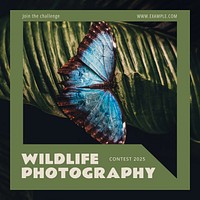 Wildlife photography Instagram post template
