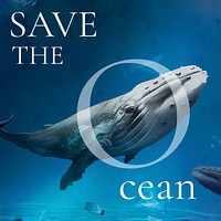 Save ocean Instagram post template