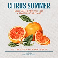 Citrus summer Instagram post template,  social media ad
