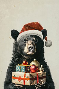 Bear bear cosmetics wildlife.