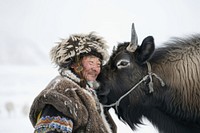 A Mongolian nomad yak livestock outdoors.