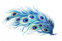 Peacock drawing feather pattern. 