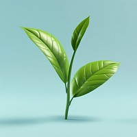 Tea leaf beverage plant drink.