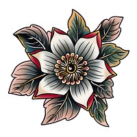 Tattoo illustration of a higanbana flower graphics blossom pattern.