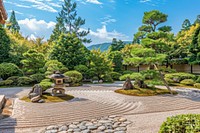 Japanese Zen garden tree architecture vegetation.