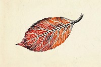Autumn leaf illustrated drawing sketch.