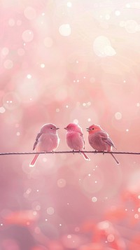 Cute birds singing on a wire outdoors animal nature.