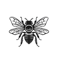 Bee invertebrate andrena stencil.