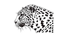 Leopard illustrated wildlife panther.