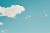 Bowed kite sky outdoors nature.
