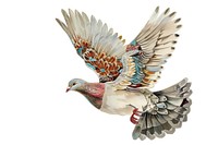 Ottoman painting of dove animal pigeon bird.