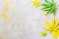 Cannabis plant leaf weed.