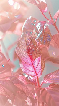 Pink leaves photo outdoors blossom glitter.