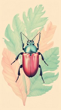 Wallpaper beetle invertebrate accessories accessory.