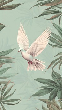 Wallpaper dove fly animal pigeon bird.