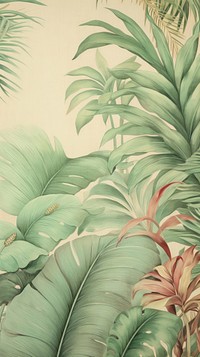 Wallpaper matis jungle vegetation outdoors.