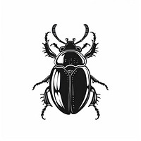 Six legs beetle invertebrate dynamite weaponry.