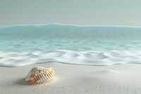 Beach close up illustration seashell invertebrate shoreline.