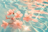 Aesthetic summer background outdoors blossom flower.