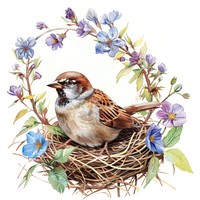 Bird sparrow animal finch.