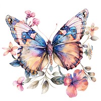 Butterfly art invertebrate graphics.