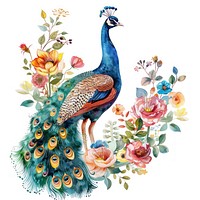 Illustration peacock watercolor flower art pattern.