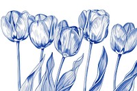 Vintage drawing tulips sketch illustrated blossom.