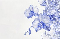 Vintage drawing orchids sketch illustrated blossom.