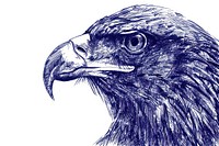 Vintage drawing eagle sketch illustrated animal.