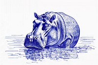 Vintage drawing hippo in lake wildlife animal mammal.