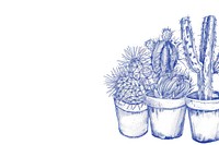 Vintage drawing cactus pots sketch illustrated pineapple.