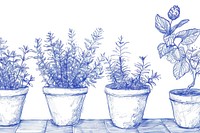 Vintage drawing mostera in pots sketch illustrated lavender.