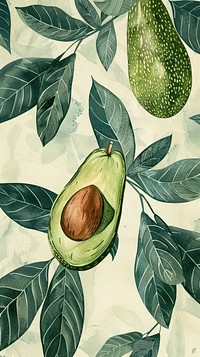 Wallpaper Avocado avocado produce person.