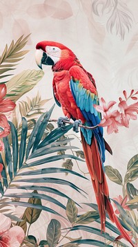Wallpaper parrot animal macaw bird.