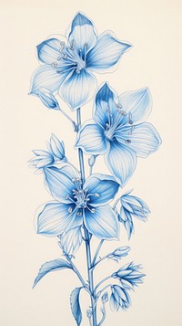 Wallpaper blue wildflower drawing sketch illustrated.