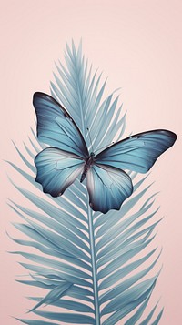 Wallpaper blue butterfly drawing sketch illustrated.