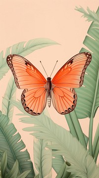 Wallpaper orange butterfly drawing sketch invertebrate.