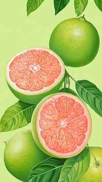 Wallpaper pomelos grapefruit produce plant.