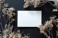Blank a4 paper mockup flower photo photography.