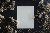 Closeup photo of a blank a4 paper mockup flower photography blossom.