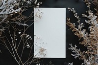 Closeup photo of a blank a4 paper mockup outdoors weather nature.