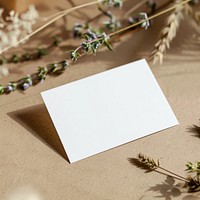 Business card envelope blossom flower.