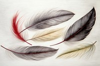 Floating feathers art illustrated graphics.