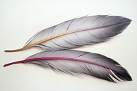 2 feathers art accessories accessory.