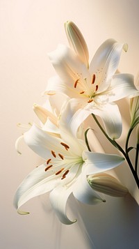 A closeup of lilies on the center chandelier blossom flower.