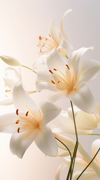 A closeup of lilies chandelier blossom flower.